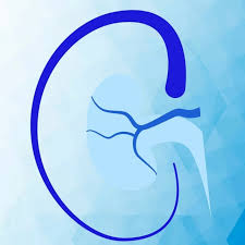 Grupo Nephron, S.A. Centro de Hemodiálisis